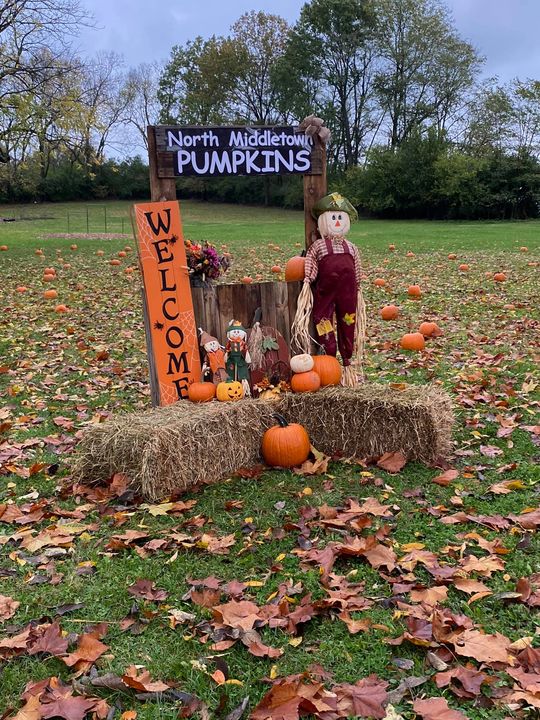 Someone in this group shared that they hosted a pumpkin patch at school &…